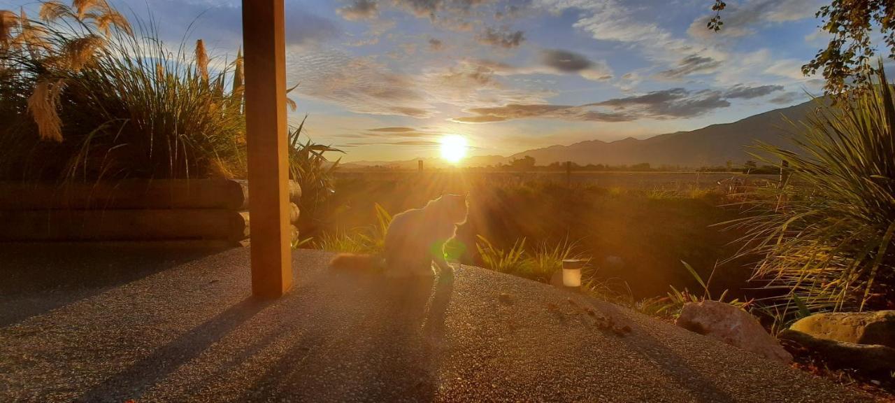 Brook House B&B&Cottages Kaikoura Exteriör bild
