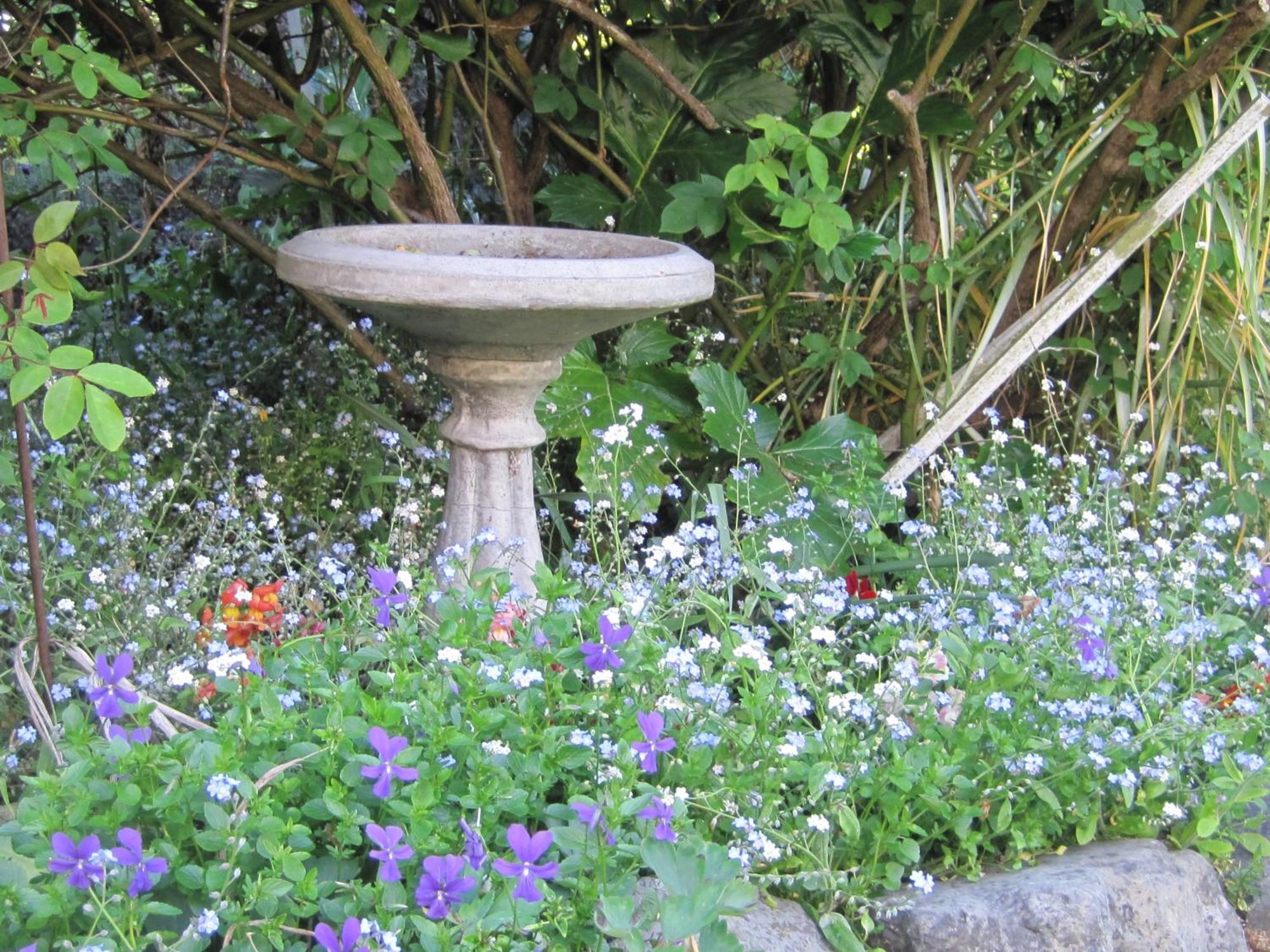 Brook House B&B&Cottages Kaikoura Exteriör bild